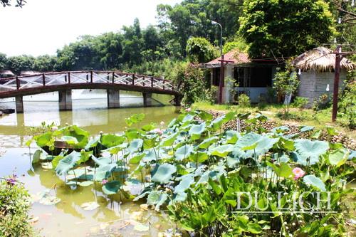 Không gian Nhà Tôi Thái Nguyên với hồ nước, đầm sen… đã xua đi cái nóng mùa hè, rũ bỏ sự mệt nhọc, khó chịu